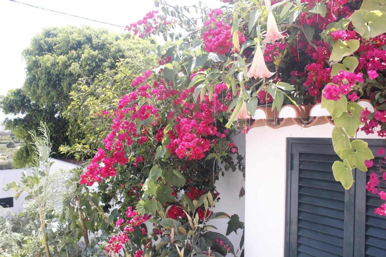 Casinha Da Andorinha - Ericeira Villa Exteriör bild